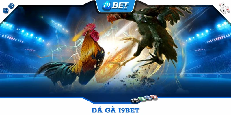 Đá Gà I9BET